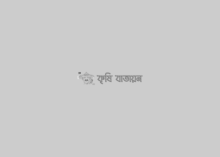 আমার টেস্ট লেখা